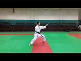 Nihon Taî jitsu 1er kata de profil vitesse normale